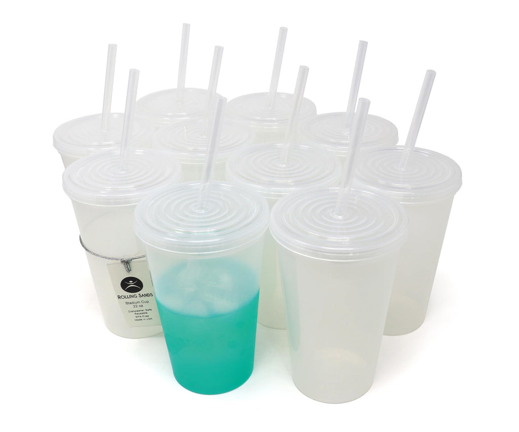 22 oz Reusable Plastic Cups with Lids and Straws, 10 Pack V98201