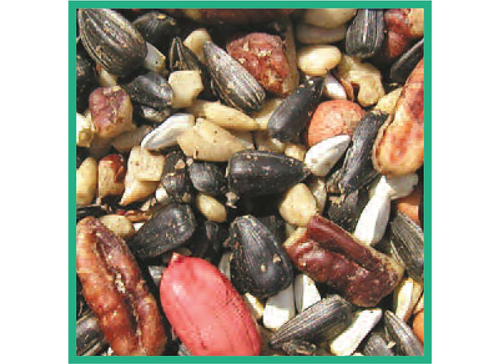 Bird Seed, 20-Pound Z165
