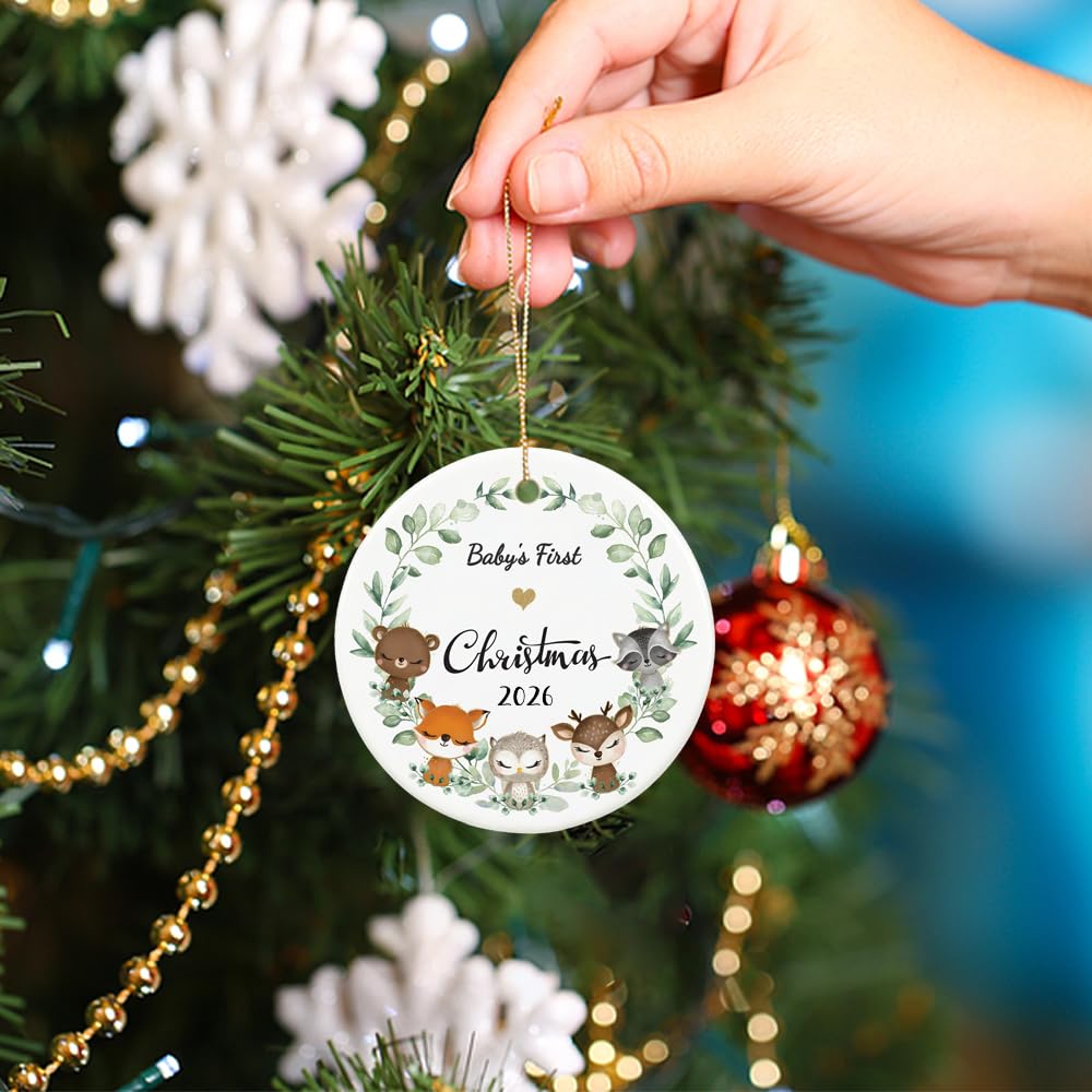 Christmas Ornament 2026 E299