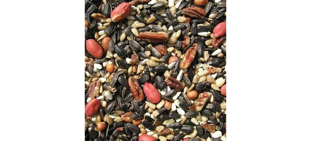 Bird Seed, 20-Pound Z165