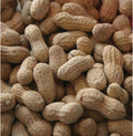 In-Shell Peanuts Wild Animal Food 25 Pound Bag Pack of 2 G850