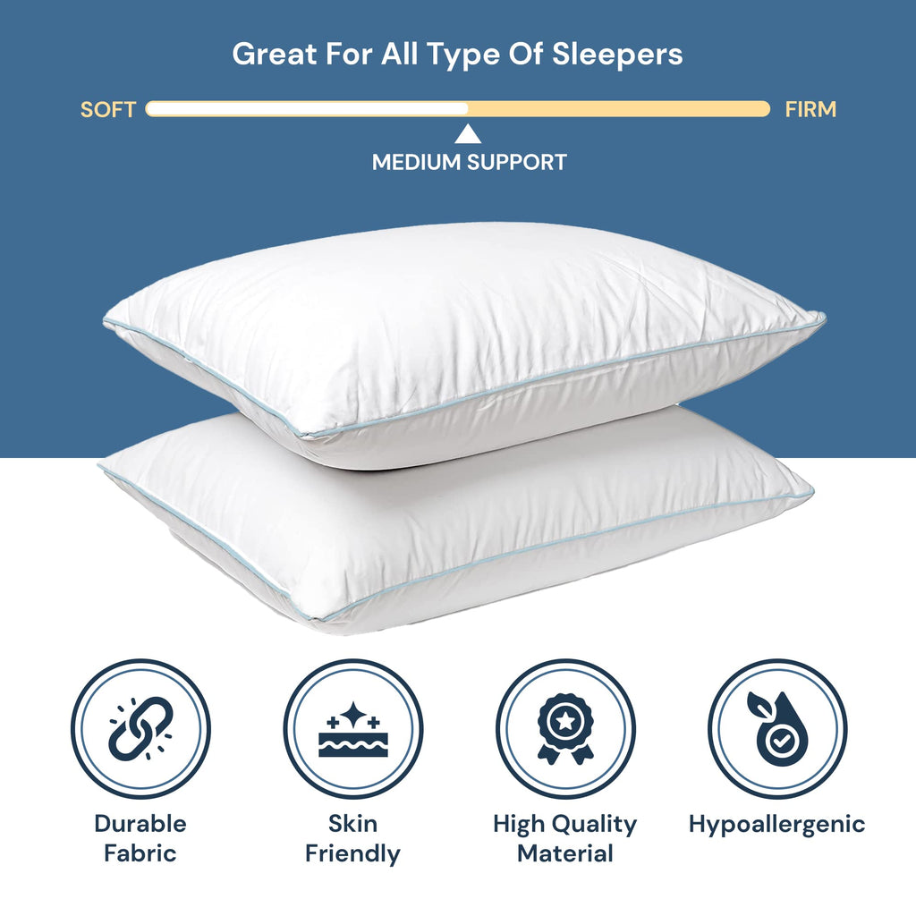 Blue King Size Down Alternative Cotton Pillows 2 Pack M100
