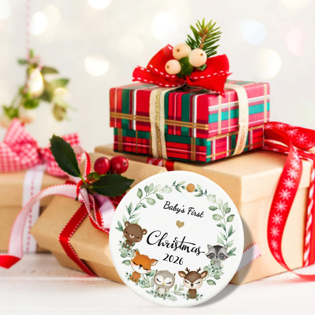 Christmas Ornament 2026 E299