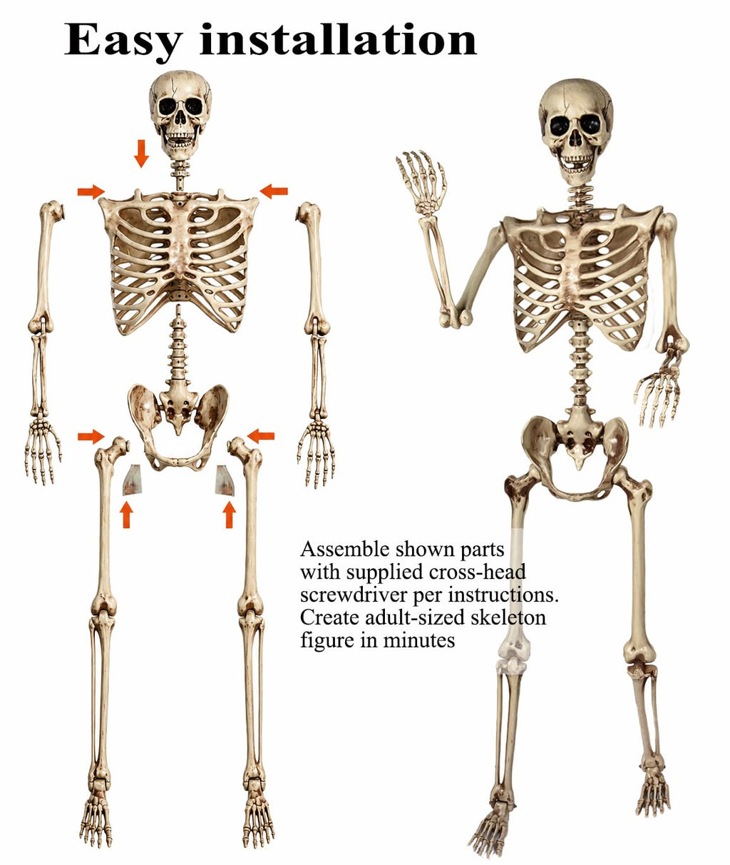 5.4 Ft Life Size Posable Skeleton S43533