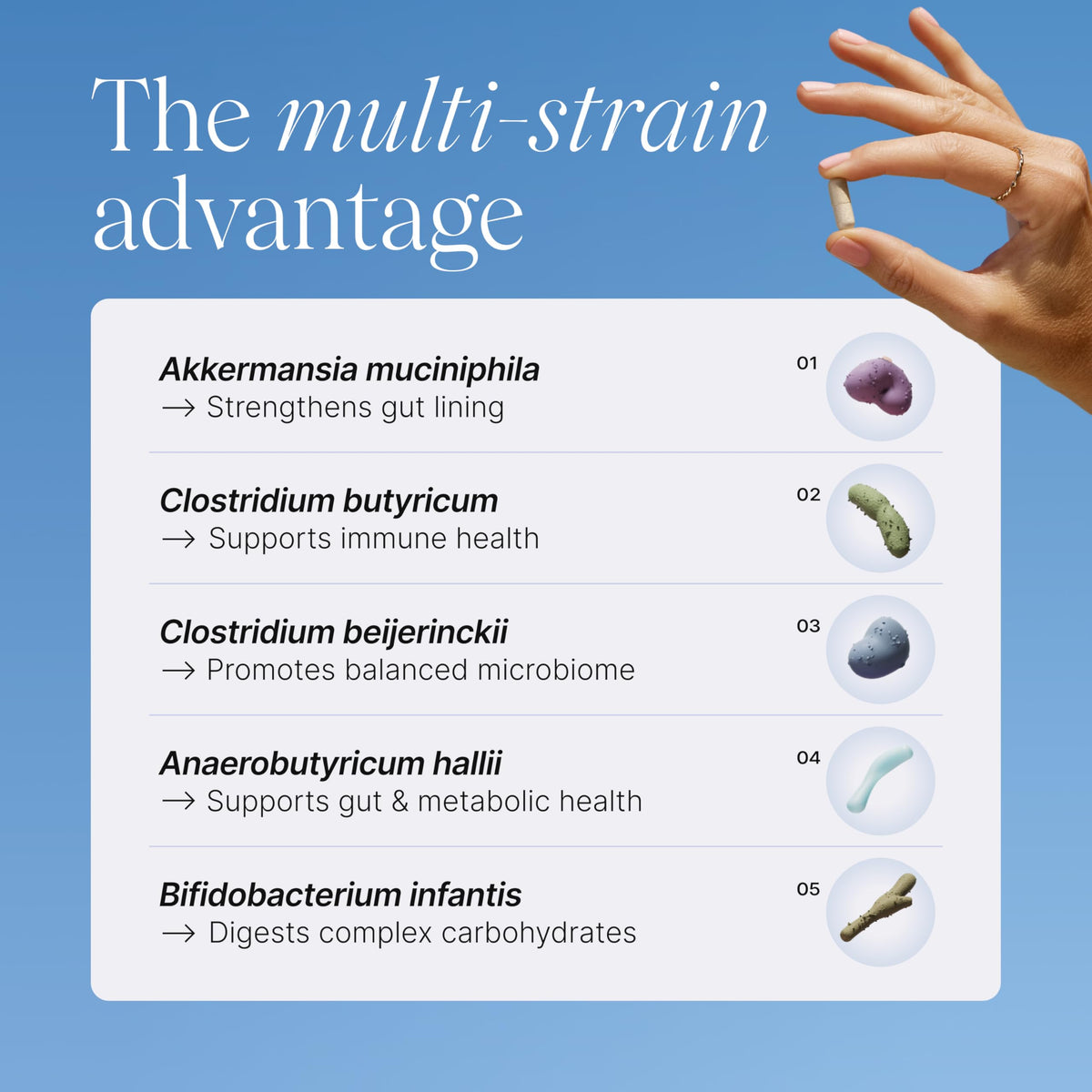 Multi-Strain Probiotic with Akkermansia muciniphila 30 Capsules C155722