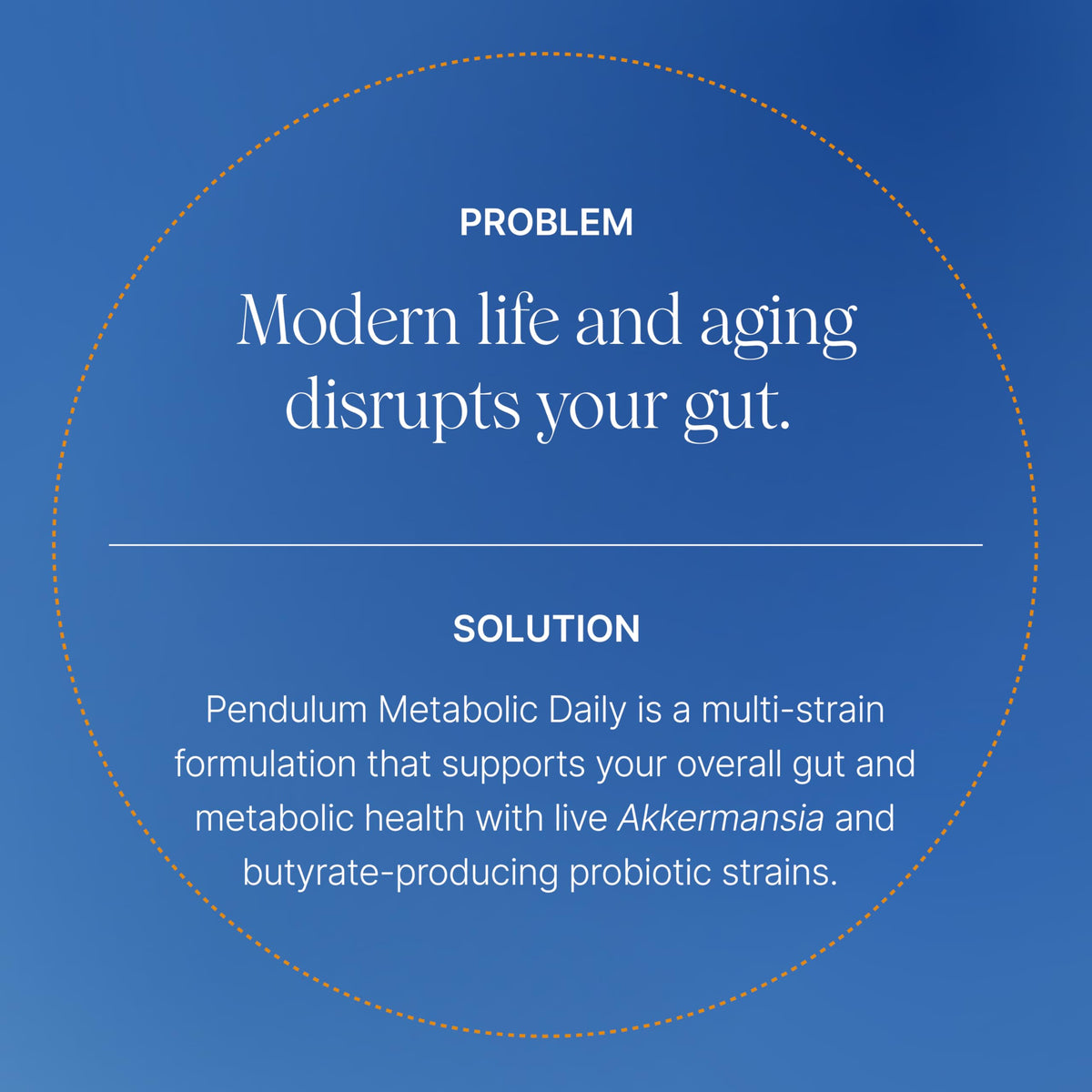 Multi-Strain Probiotic with Akkermansia muciniphila 30 Capsules C155722