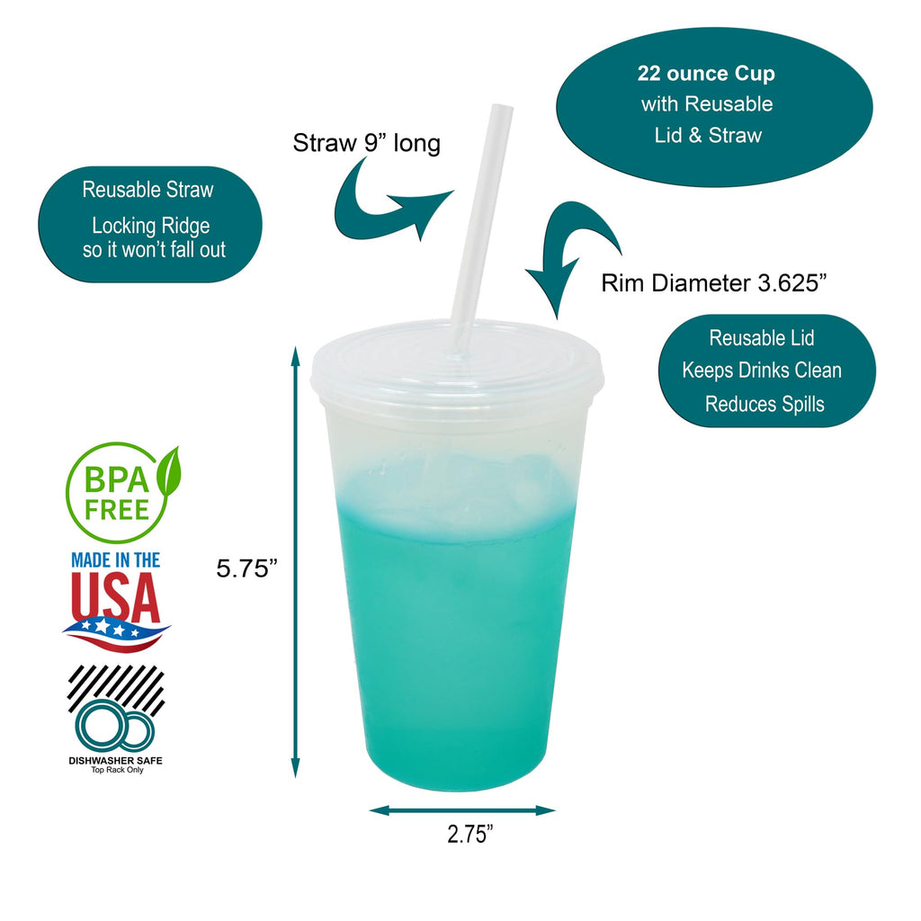 22 oz Reusable Plastic Cups with Lids and Straws, 10 Pack V98201