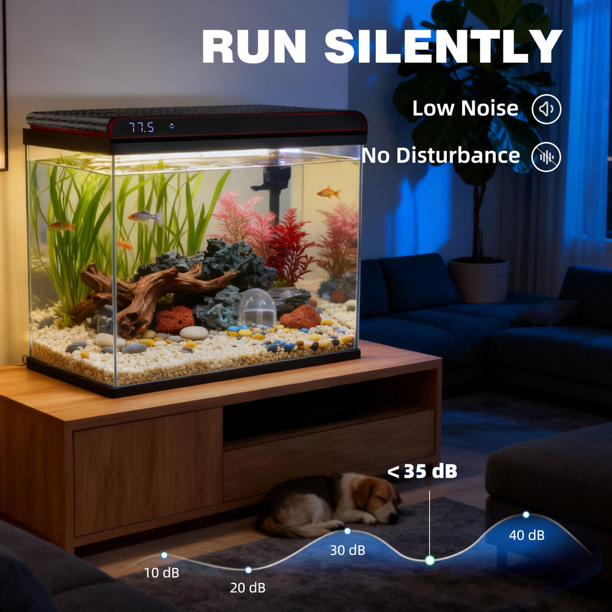 20 Gallon Glass Fish Tank Aquarium Starter Kit with LED Lights Filter Pump J56583