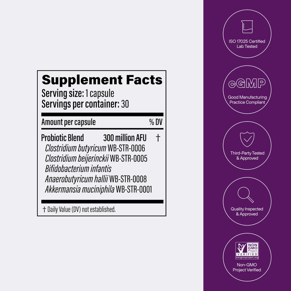 Multi-Strain Probiotic with Akkermansia muciniphila 30 Capsules C155722