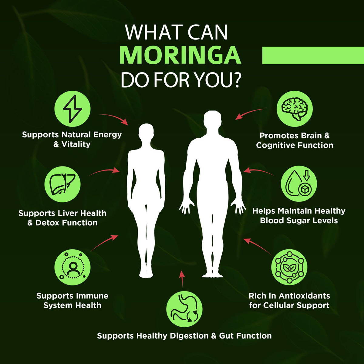Organic Moringa 1000mg 120 Vegan Capsules N44160