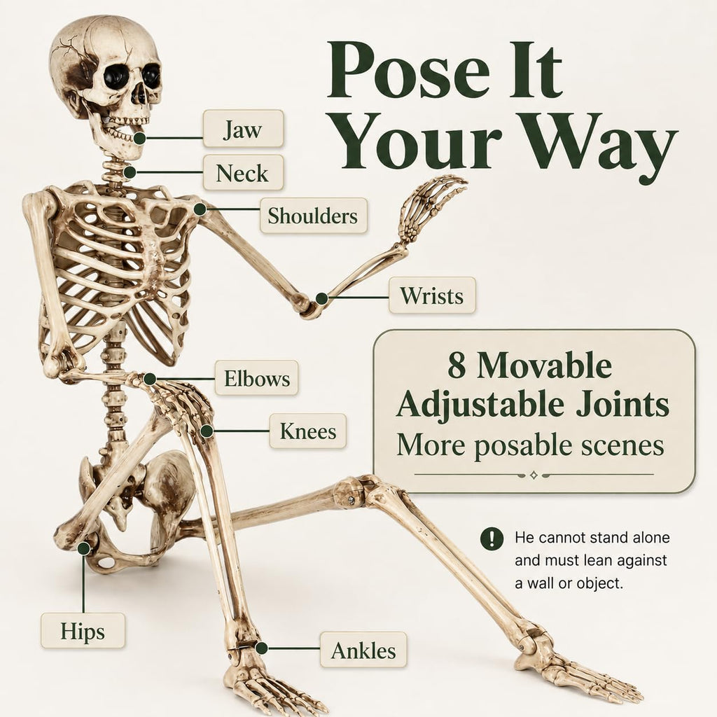 5.4 Ft Life Size Posable Skeleton S43533