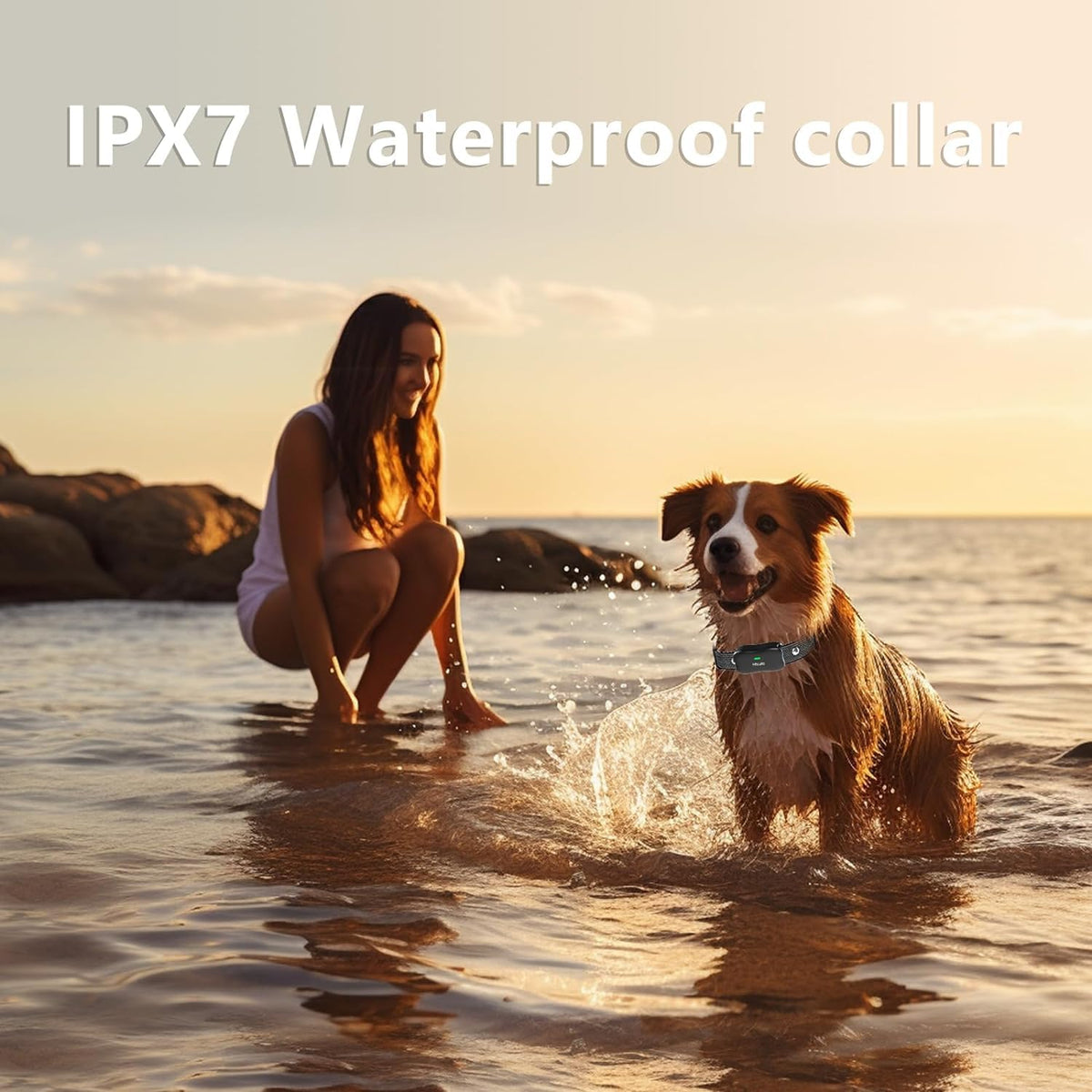 Wireless Dog Fence & Electronic Training Collar 2 in 1, IPX7 Waterproof N89697