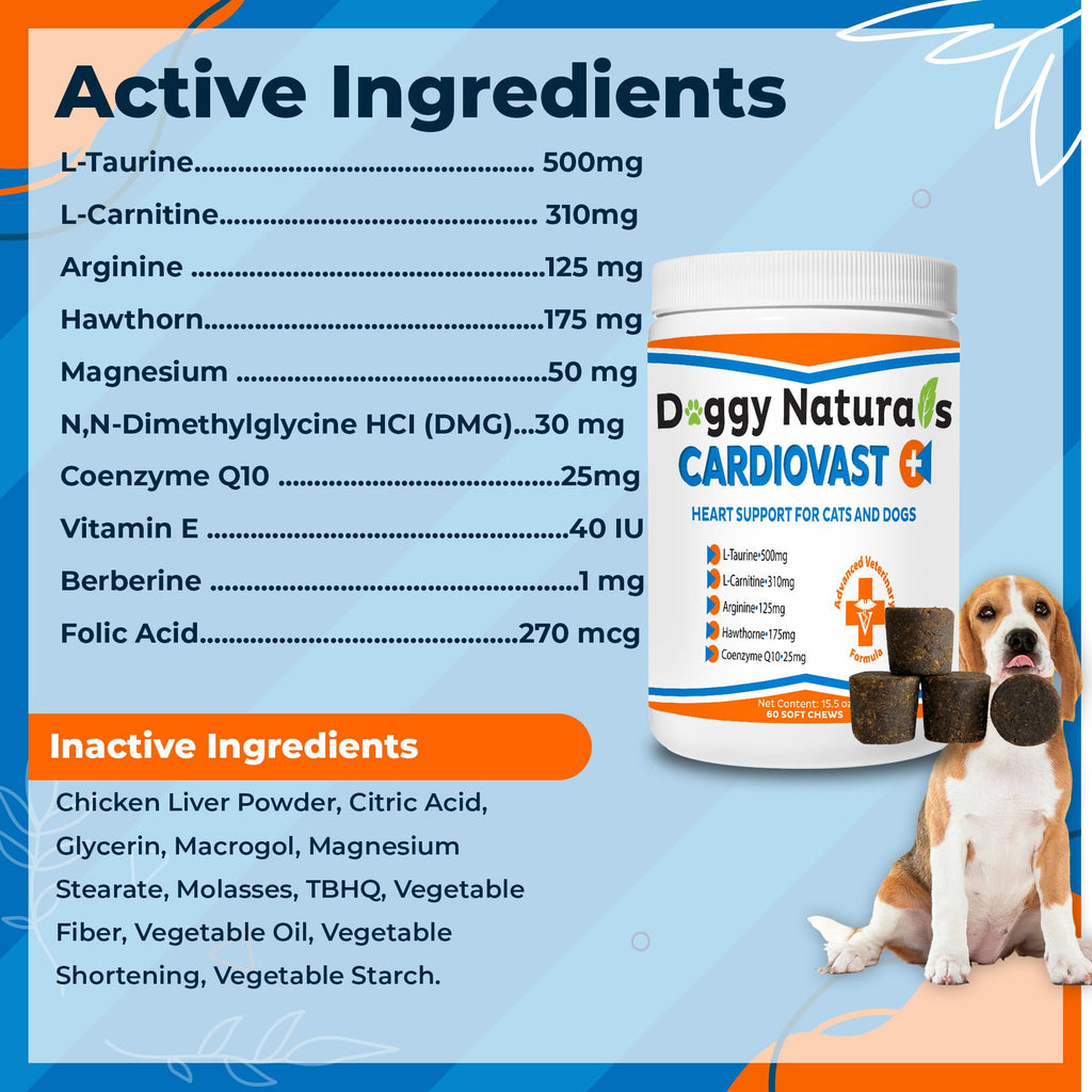 Cardio Support Supplement for Dogs and Cats, 60 Soft Chew K8019