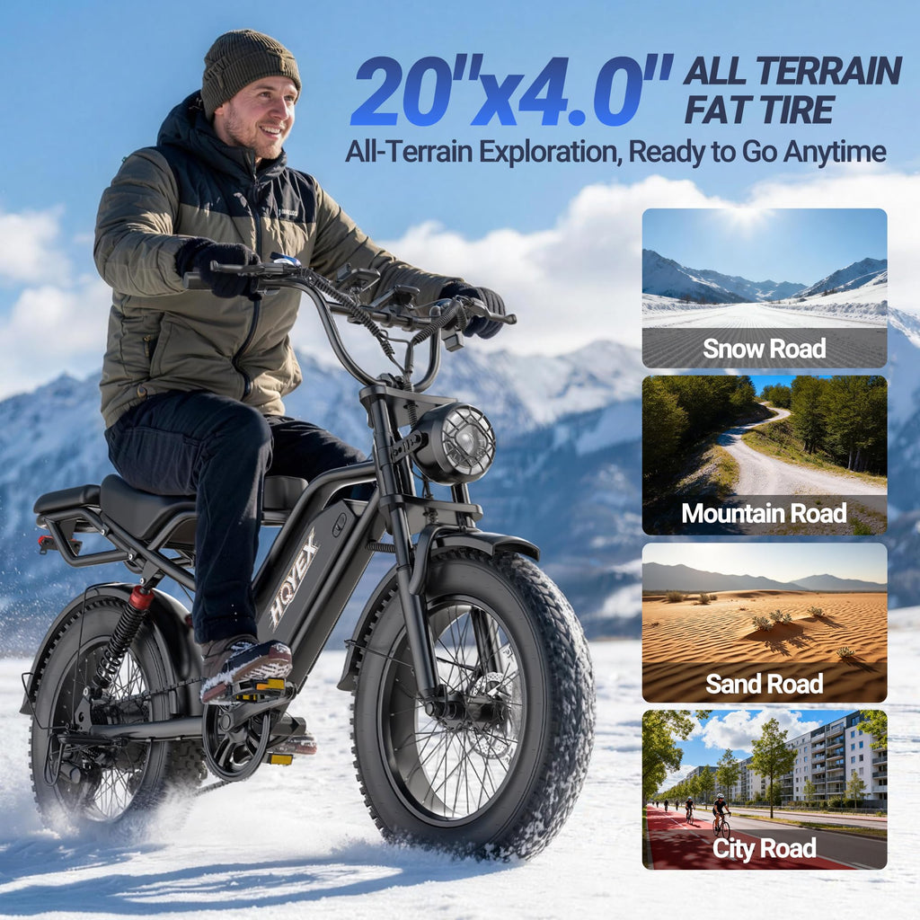1500W 20" Fat Tire Electric Bike with 48V 20Ah Battery Z320
