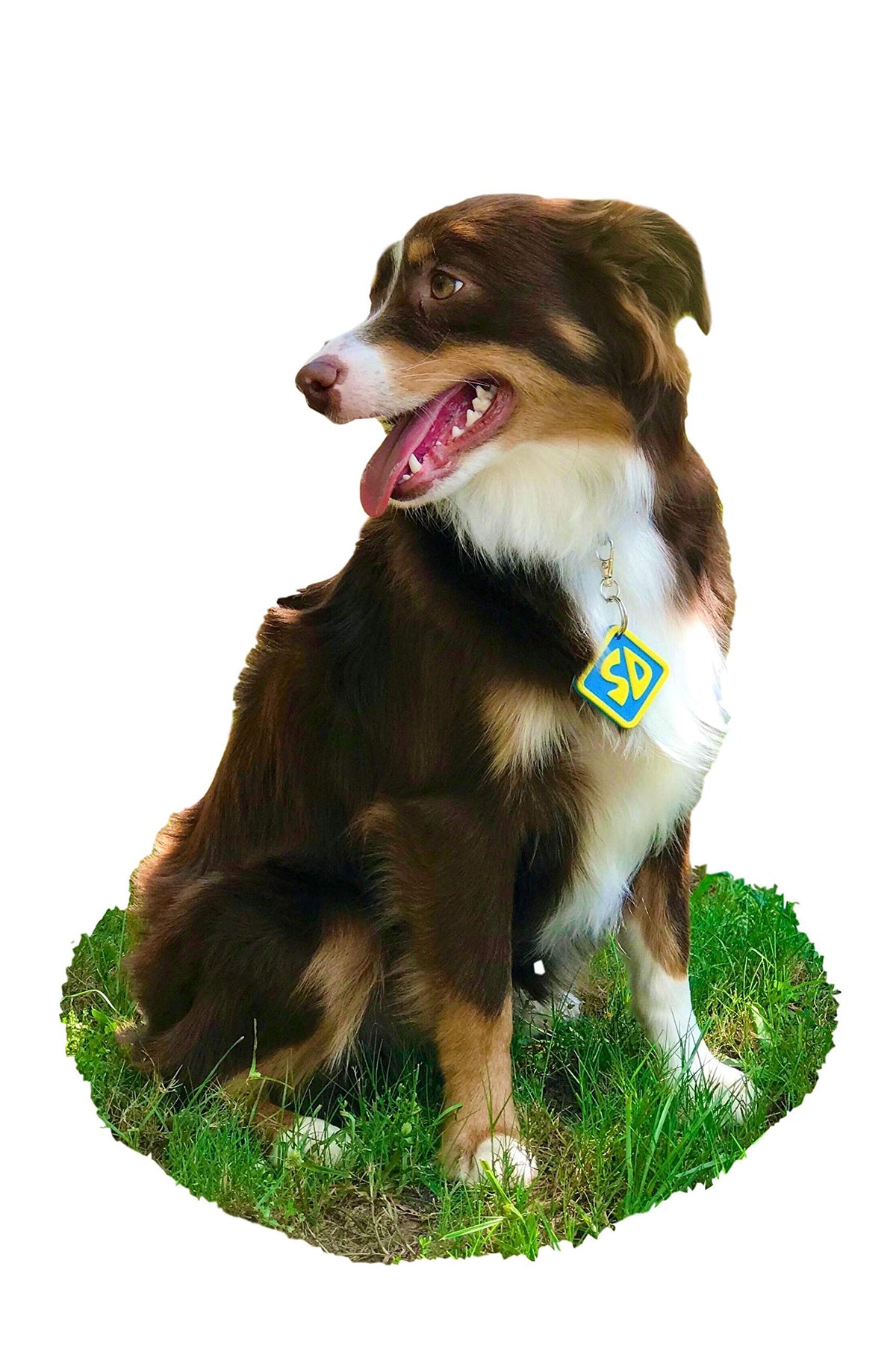 Dog Halloween Costume Collar Tag Q89241