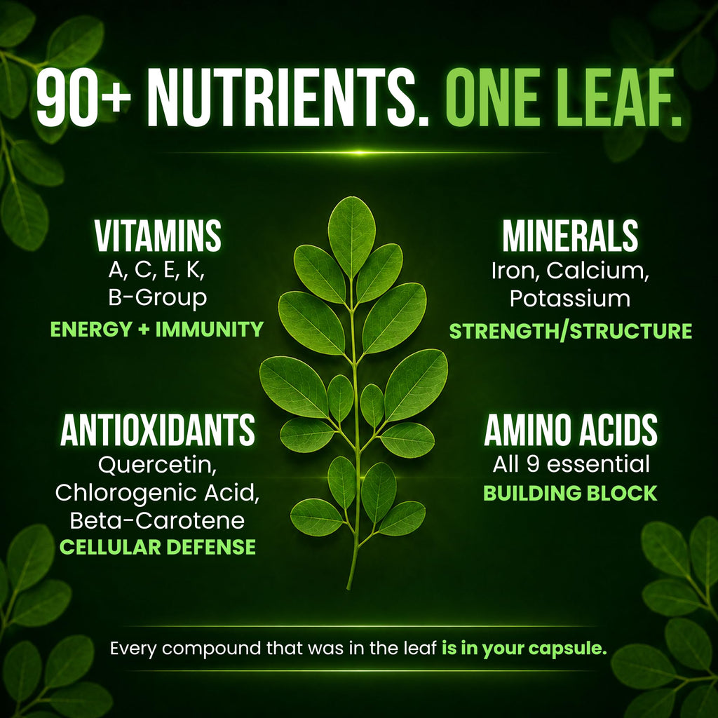 Organic Moringa 1000mg 120 Vegan Capsules N44160