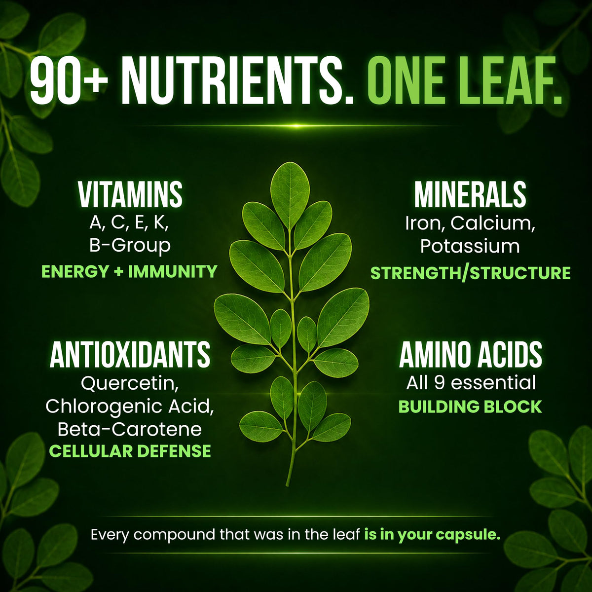 Organic Moringa 1000mg 120 Vegan Capsules N44160