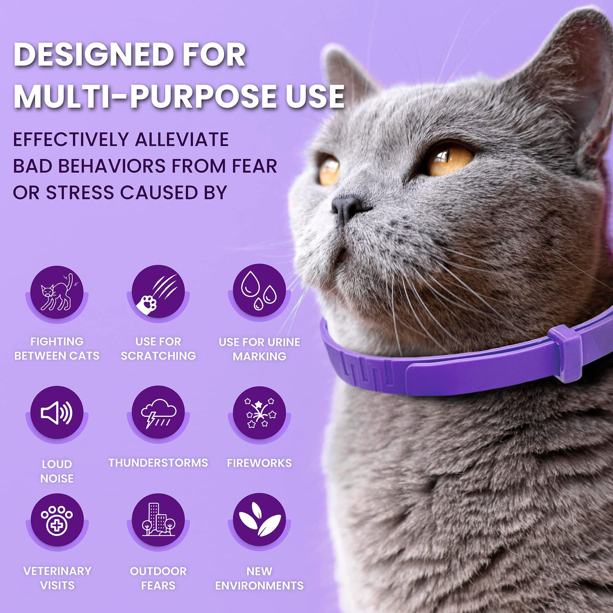 Purple Breakaway Calming Collar 4 Pack W470254