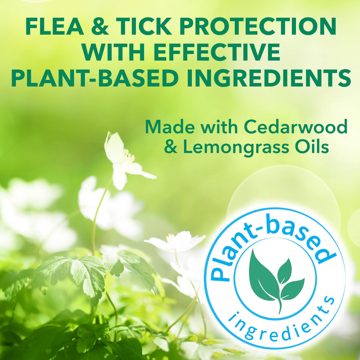 Flea & Tick Spray Treatment for Dogs with Cedarwood and Lemongrass Oil, 14 Ounces T966