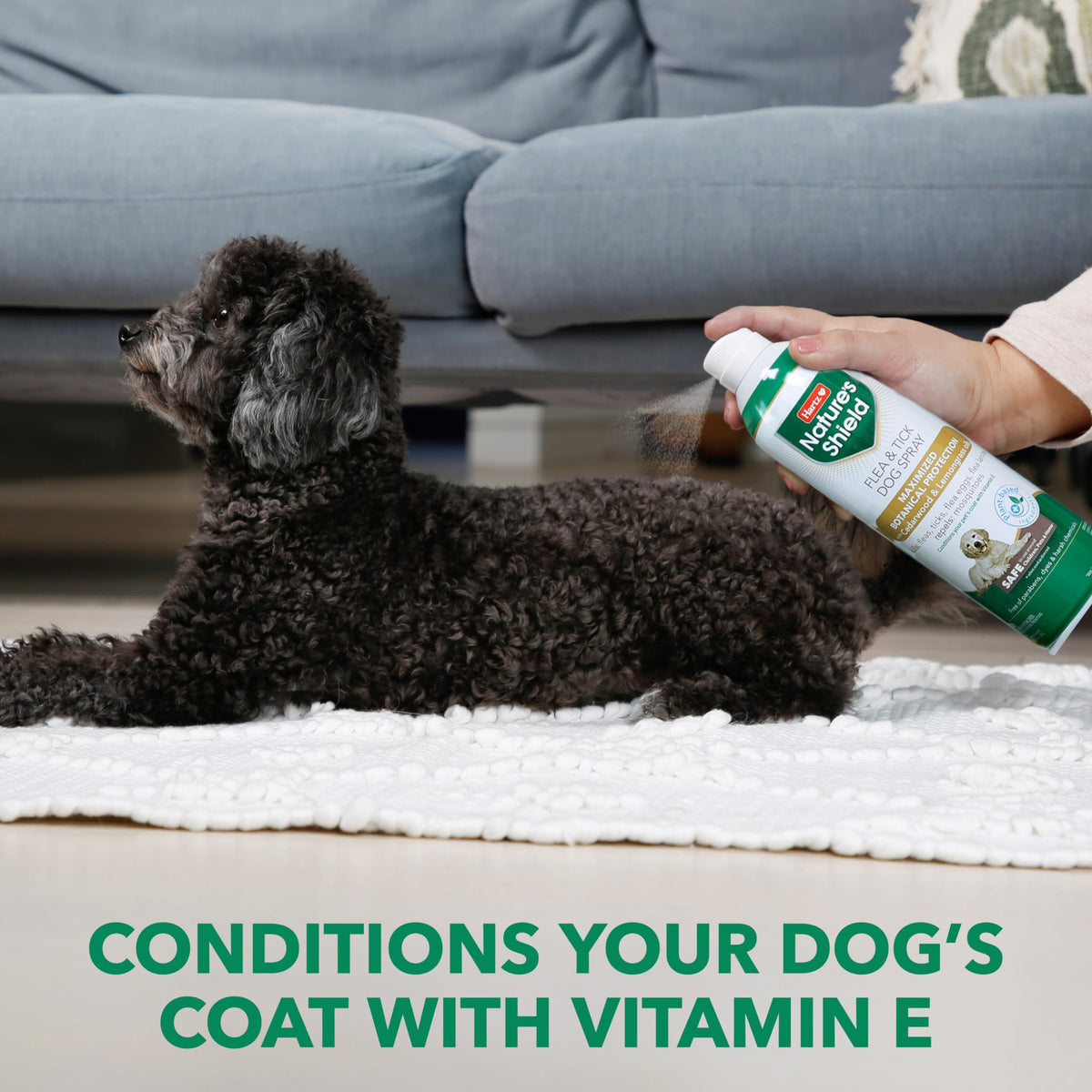 Flea & Tick Spray Treatment for Dogs with Cedarwood and Lemongrass Oil, 14 Ounces T966