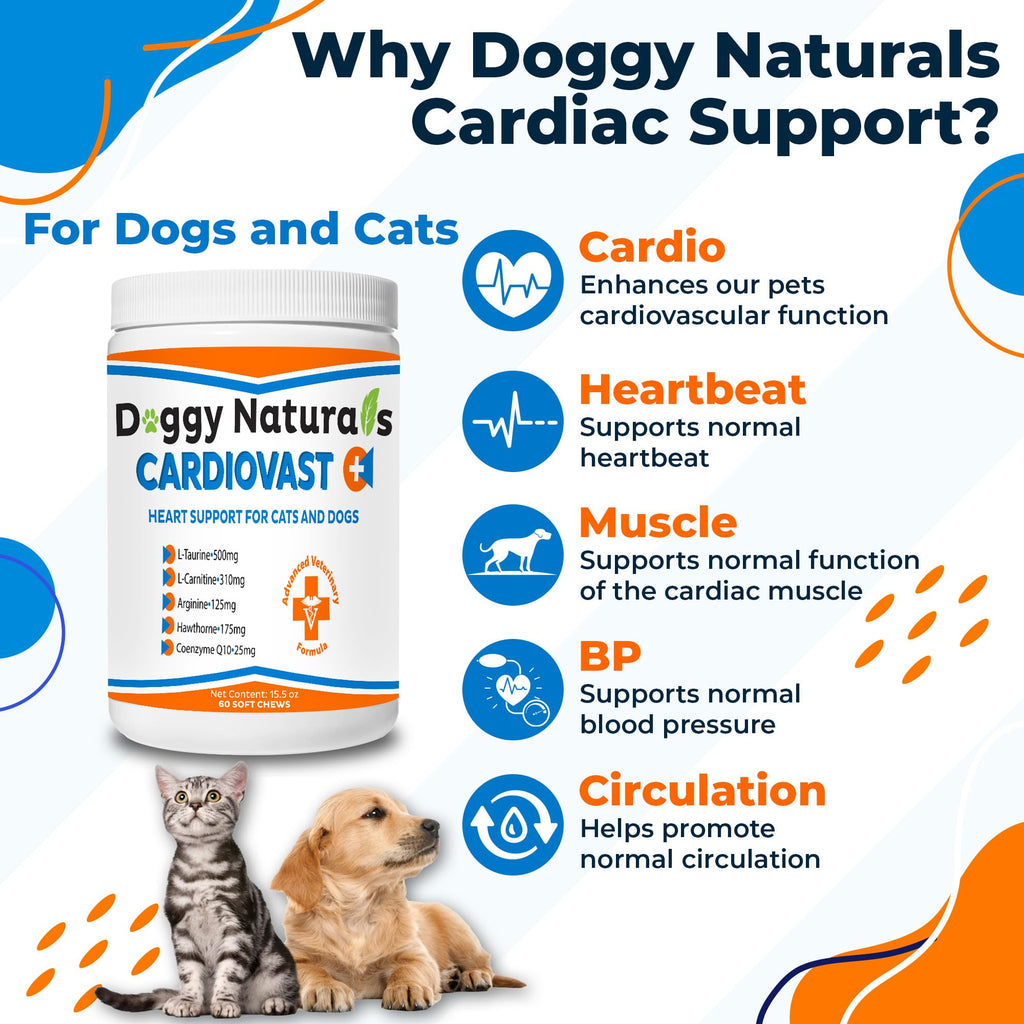 Cardio Support Supplement for Dogs and Cats, 60 Soft Chew K8019