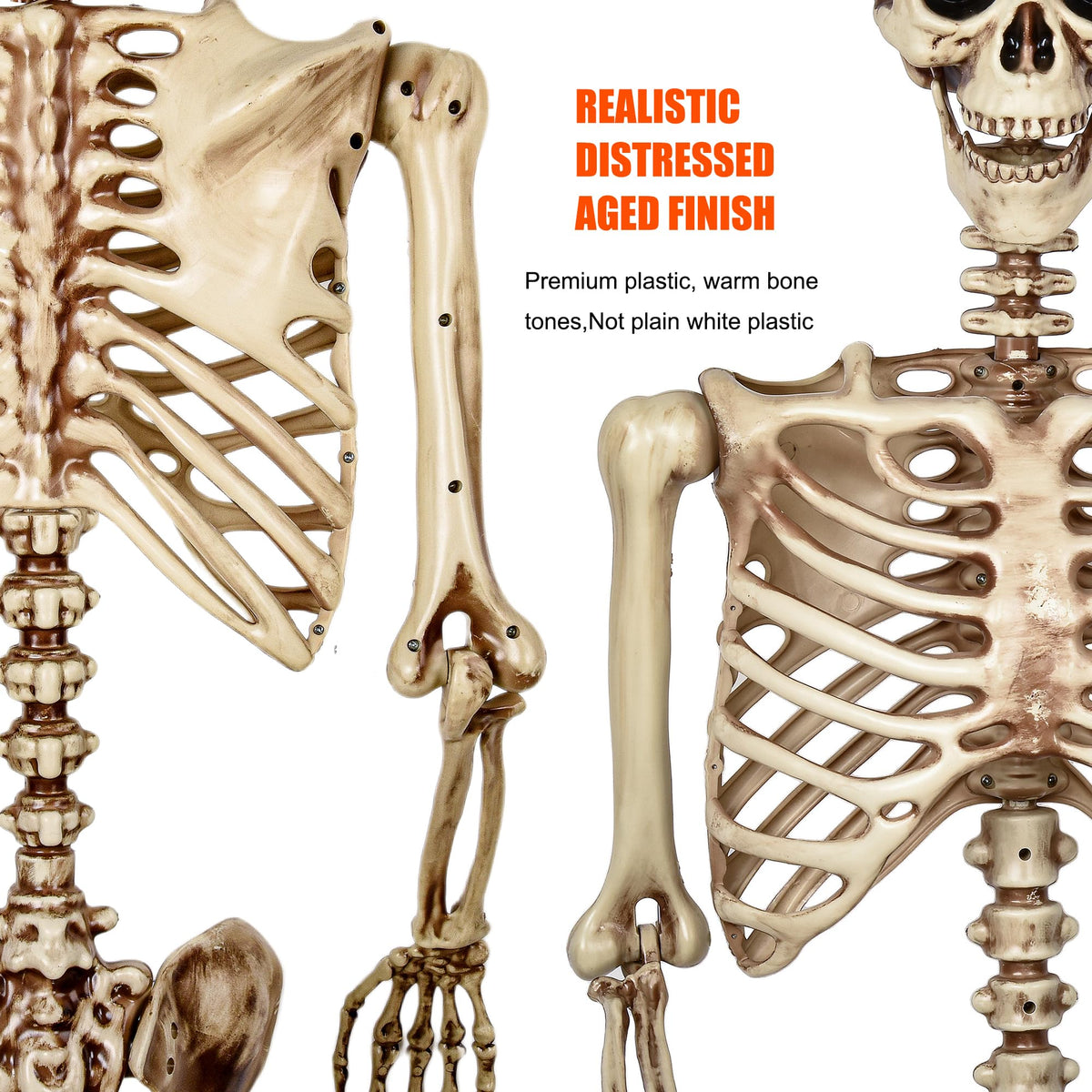 5.4 Ft Life Size Posable Skeleton S43533