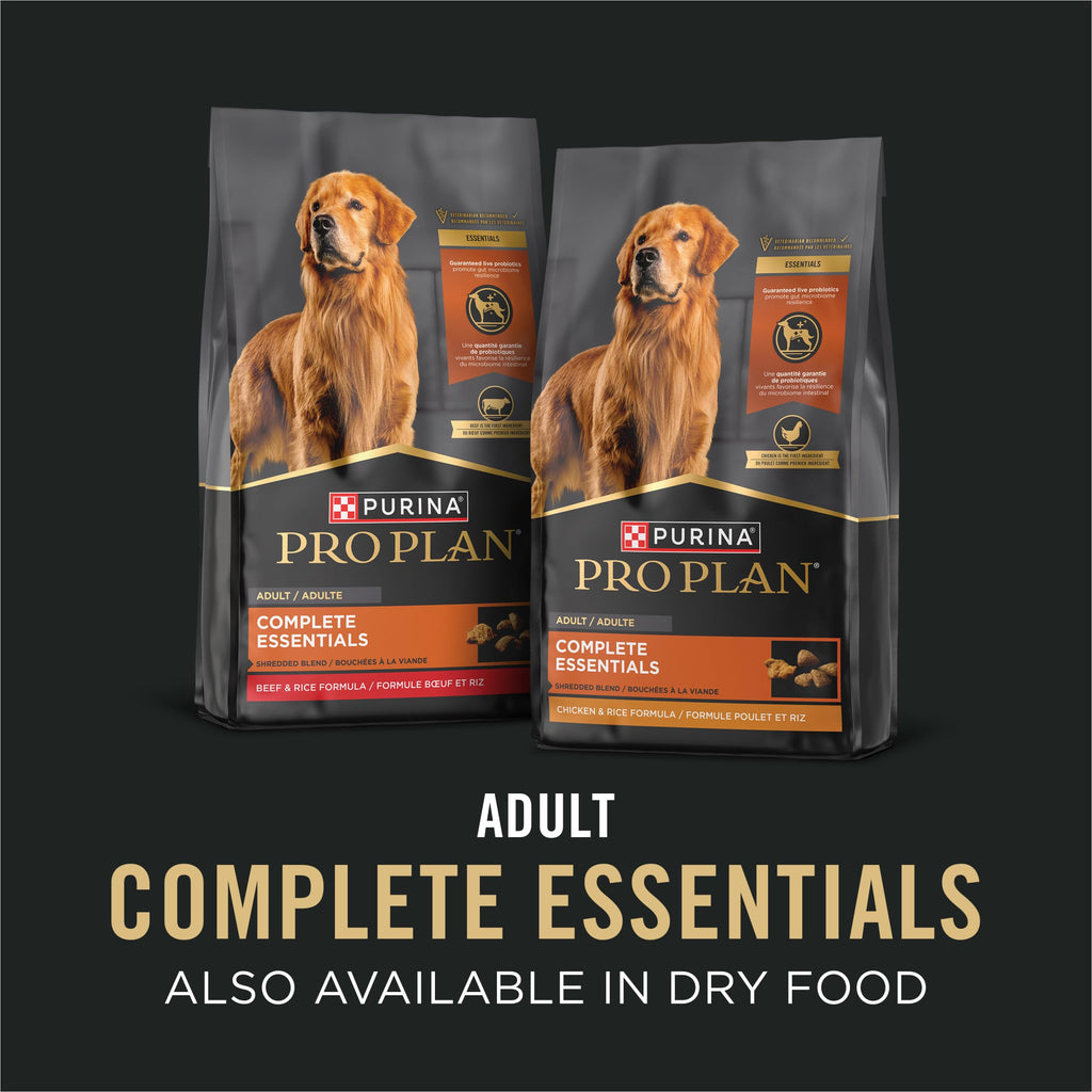 Wet Dog Food Variety Pack Chicken & Beef 12 13 oz Cans Q38141