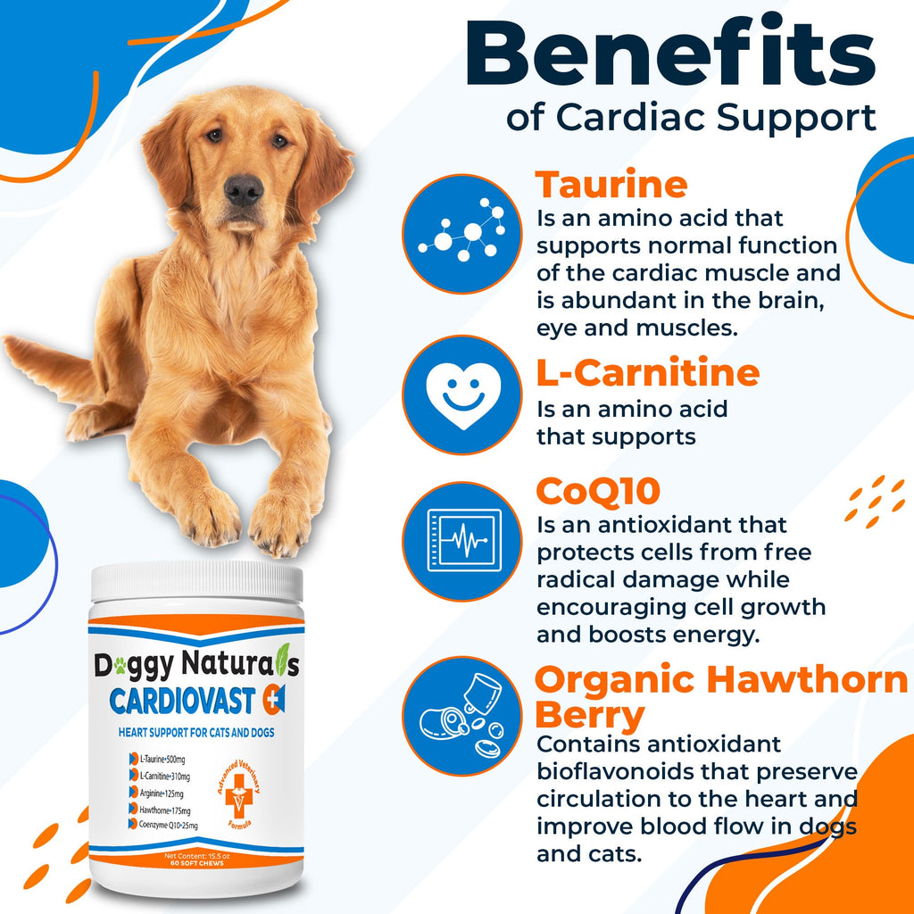 Cardio Support Supplement for Dogs and Cats, 60 Soft Chew K8019