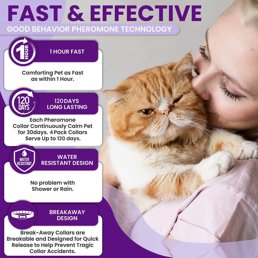 Purple Breakaway Calming Collar 4 Pack W470254