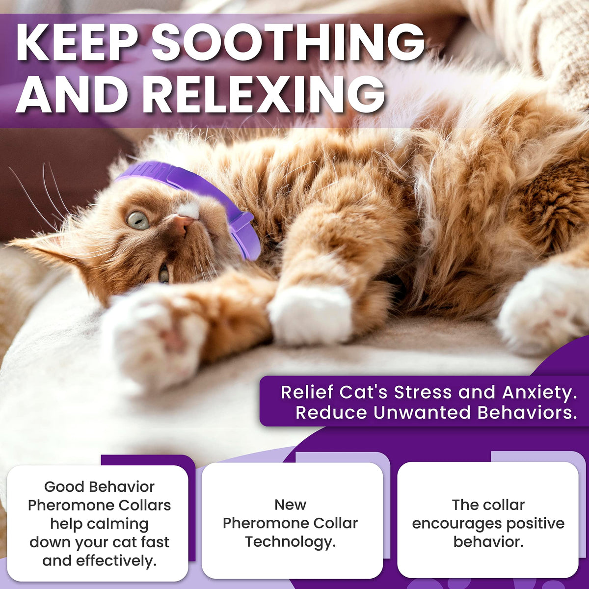 Purple Breakaway Calming Collar 4 Pack W470254