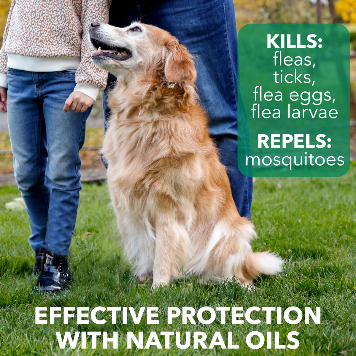 Flea & Tick Spray Treatment for Dogs with Cedarwood and Lemongrass Oil, 14 Ounces T966